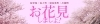 佐世保市 佐々町 波佐見町 川棚町の花見スポット 佐世保市 佐々町 波佐見町 川棚町の花見スポット まいぷれ 佐世保