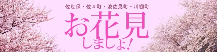 佐世保市 佐々町 波佐見町 川棚町の花見スポット 佐世保市 佐々町 波佐見町 川棚町の花見スポット まいぷれ 佐世保 佐世保市 佐々町 波佐見町 川棚町の花見スポット 佐世保市 佐々町 波佐見町 川棚町の花見スポット まいぷれ 佐世保
