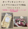 オープンキャンペーン「ホワイトニングサロンエスプラス本日オープン❣️」