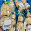 「冬至『ん』の付く食べ物を集めました！道の駅木曽福島」