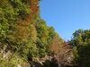 新滝付近「王滝の紅葉の様子をお伝えします。【遊び 木曽 ｱｸﾃｨﾋﾞﾃｨ― 王滝村 林鉄バイク E-MTB・MTBレンタル】」