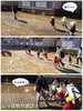 元気いっぱい走りました！！「盛りだくさんな1日でしたよ☆【交野市・小規模保育園】」