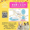 「✿11/4㈪ 譲渡会(所沢市)参加保護猫情報！⑤✿ 雑種猫/MIX猫/保護猫/狭山湖動物霊園」