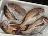 「鮮魚入荷致しました。[岩牡蠣は７月から販売致します。]」