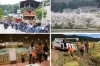 四季折々、地域の魅力をたっぷりとお届けします。「サンデーいわふね いわふね新聞社」