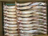 「柳葉魚」