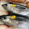 「魚魚市場鮮魚コーナーおすすめは「キンメダイ・イサキ・クロ」です♪」