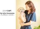 シニア専門 Dog salon hanamama（ドッグ サロン ハナママ）