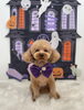 りくくん「Happy Halloween 2026🎃」