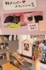 「Le chateau des chats」