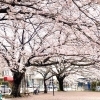 千代田町公園