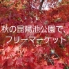 紅葉の昆陽池公園でフリーマーケット