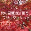 「紅葉の昆陽池公園でフリーマーケット」