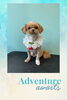 「Dog salon mofu mofu　余市町」