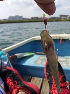 「舞浜リゾート葛西臨海公園クルーズの日中屋形船」