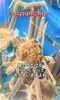 「✨🦀今日6/22は、かにの日なんです🦀✨」