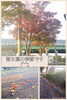 「紅葉ですね꒰*´∀`*꒱」