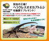 ヘラクレスオオカブトムシ抽選会「今週末のイベント情報！！【ショッピングプラザアスモの隣りにある外房エリア唯一の総合住宅展示場】」