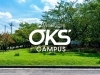 新たな創造の可能性を見出す場所。
それがOKS CAMPUS。「株式会社大泉工場」