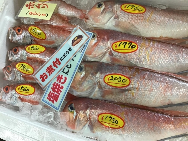 「魚魚市場鮮魚コーナーおすすめは「ゴマサバ」です♪」