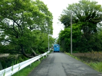 トトロが住んでいそうな森を抜けます。