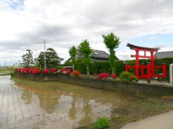 農村風景にひときわ目立つお稲荷さん