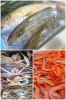 「株式会社 橘商店」