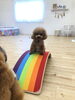 チャコちゃんも上手　👏「ましゅまろ幼稚園🐶」