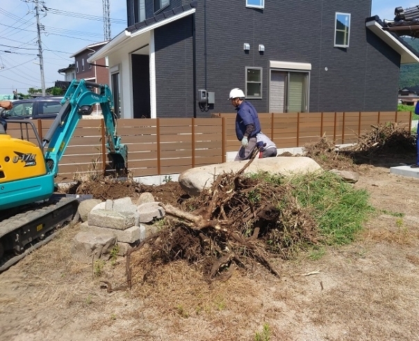 撤去中です「木の根っこ撤去作業　出雲市」