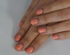 「今日は何の日？？」