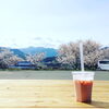 お花見席「桜満開です♪」