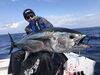 「天然黒マグロが又来ました‼️」