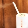 ミストでキレイな肌に導く、メナードのフェイシャルエステ「骨格調律&フットバスサロン 桜梅桃李」