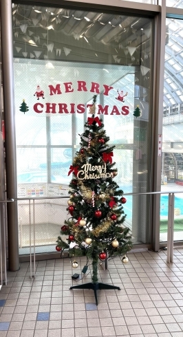 こてはし温水プール「メリークリスマス！　子どもが家庭で育つ機会を　千葉事務所　都賀駅徒歩５分」