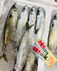 「西海物産館・魚魚市場鮮魚コーナーおすすめは「エゾバフンウニ」です♪」