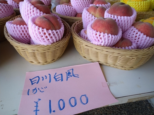 日川白桃「夏の風物詩！桃の販売始まりました！！【福島市/道の駅つちゆ/土湯温泉】」
