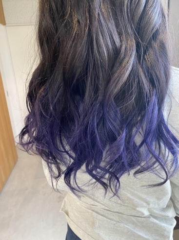 ラベンダーパープル グラデーションカラー ヘアーサロン2c トゥーシー のニュース まいぷれ 米子 ラベンダーパープル グラデーションカラー ヘアーサロン2c トゥーシー のニュース まいぷれ 米子