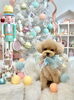 ぽんかんくん「MerryXmas🎄」