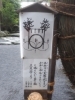「夏越しの大祓い➕茅の輪くぐり」