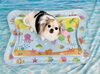 ココちゃん「波とわんこ🌊」