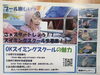 お子様の成長を実感できる水泳教室「間違い探し付きチラシ配布中！」