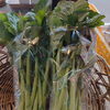 のらぼう「ようやく春がやってきそうです～旬野菜・お土産・特産品の【山の店】（秋川渓谷から車で5分）～」