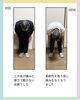 酷い痛みに急に襲われたそうです「首が動かない…。そんな朝を迎えた男性です」