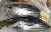 「魚魚市場鮮魚コーナーおすすめは「赤貝」です♪」