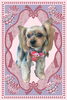「Dog salon mofu mofu　余市町」