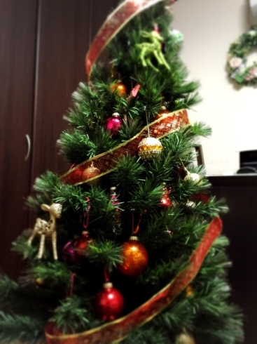 「きららサロンのクリスマスツリー」