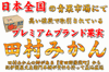 「【田村みかん】」