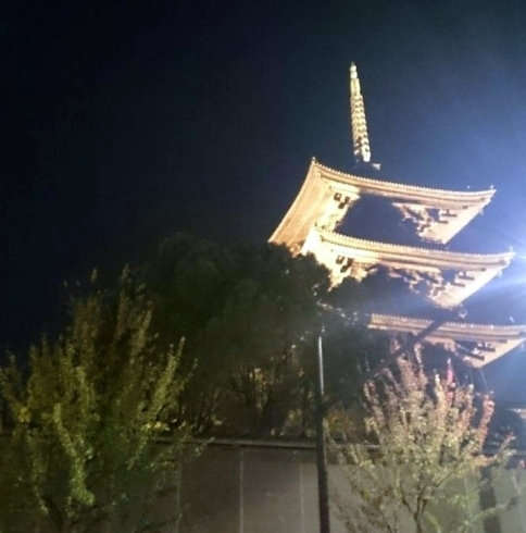 「おすすめ小旅行　“ライトアップ！　京都「東寺」”」