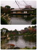 「平成庭園・源心庵」