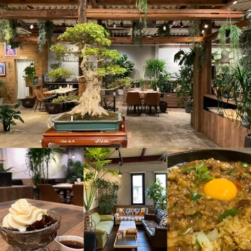 「ボタニカルカフェ＆レストラン KIBE KITCHEN」植物のチカラを感じられる癒しのカフェ